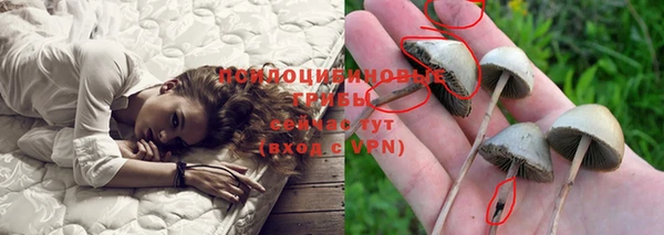 бошки Абдулино