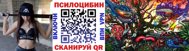 купить закладку Ясный Псилоцибиновые грибы Psilocybe