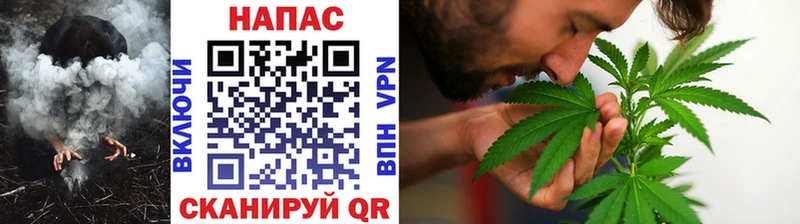 Конопля SATIVA & INDICA  Ясный 